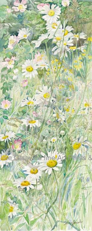 Large daisies in meadow, painting by Caroline Glanville